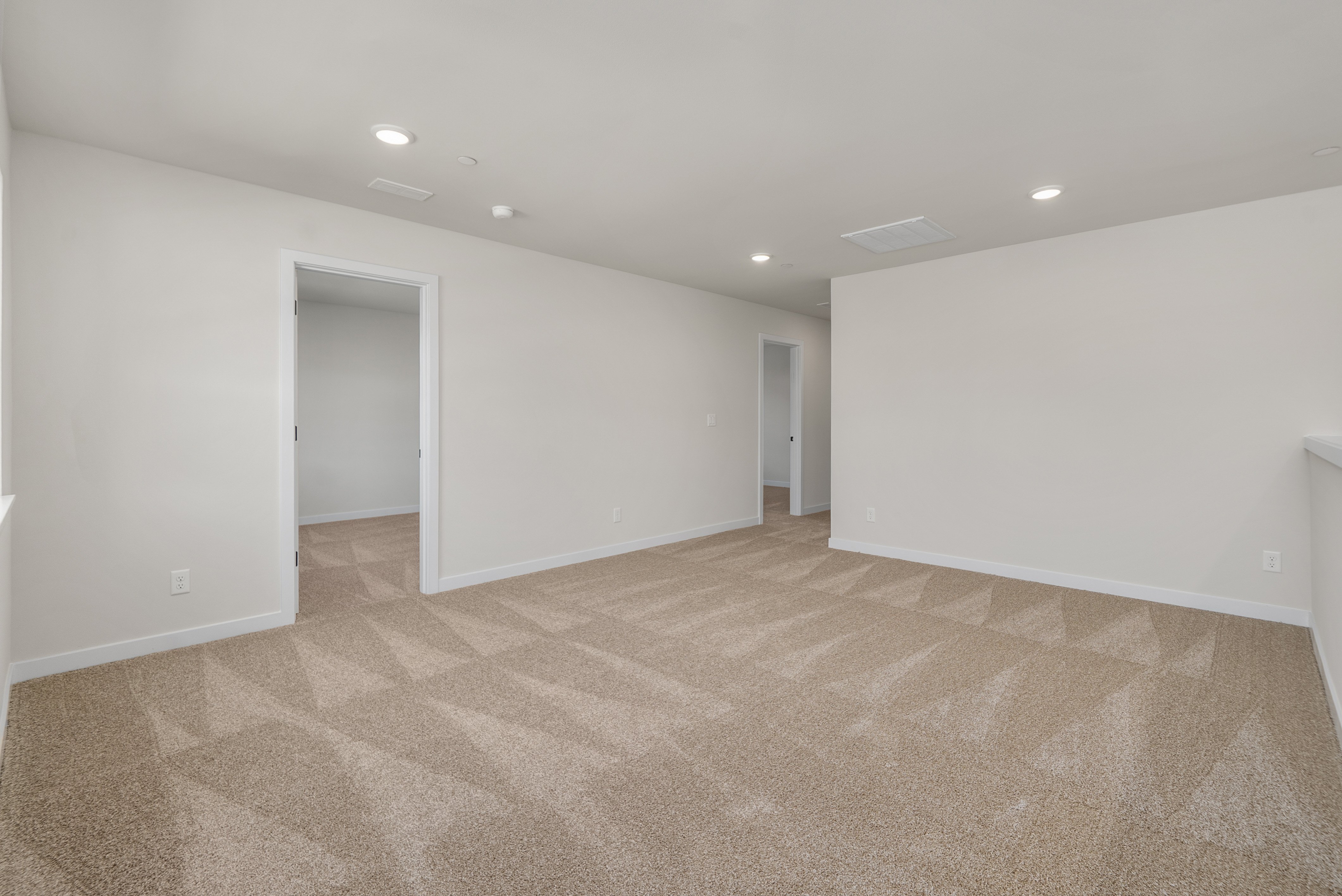 A room with a carpet and a door.