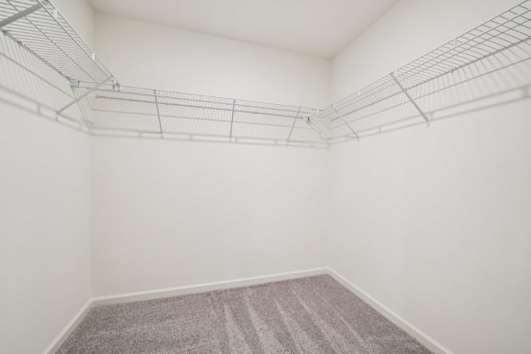 A white room with a carpet.