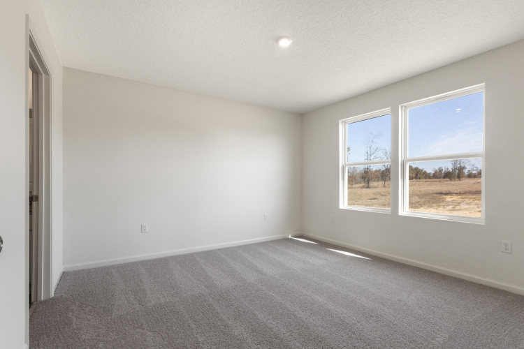 A room with a window and a carpet.