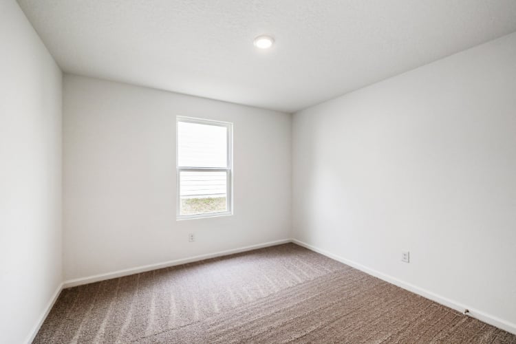 A room with a carpet and a window.