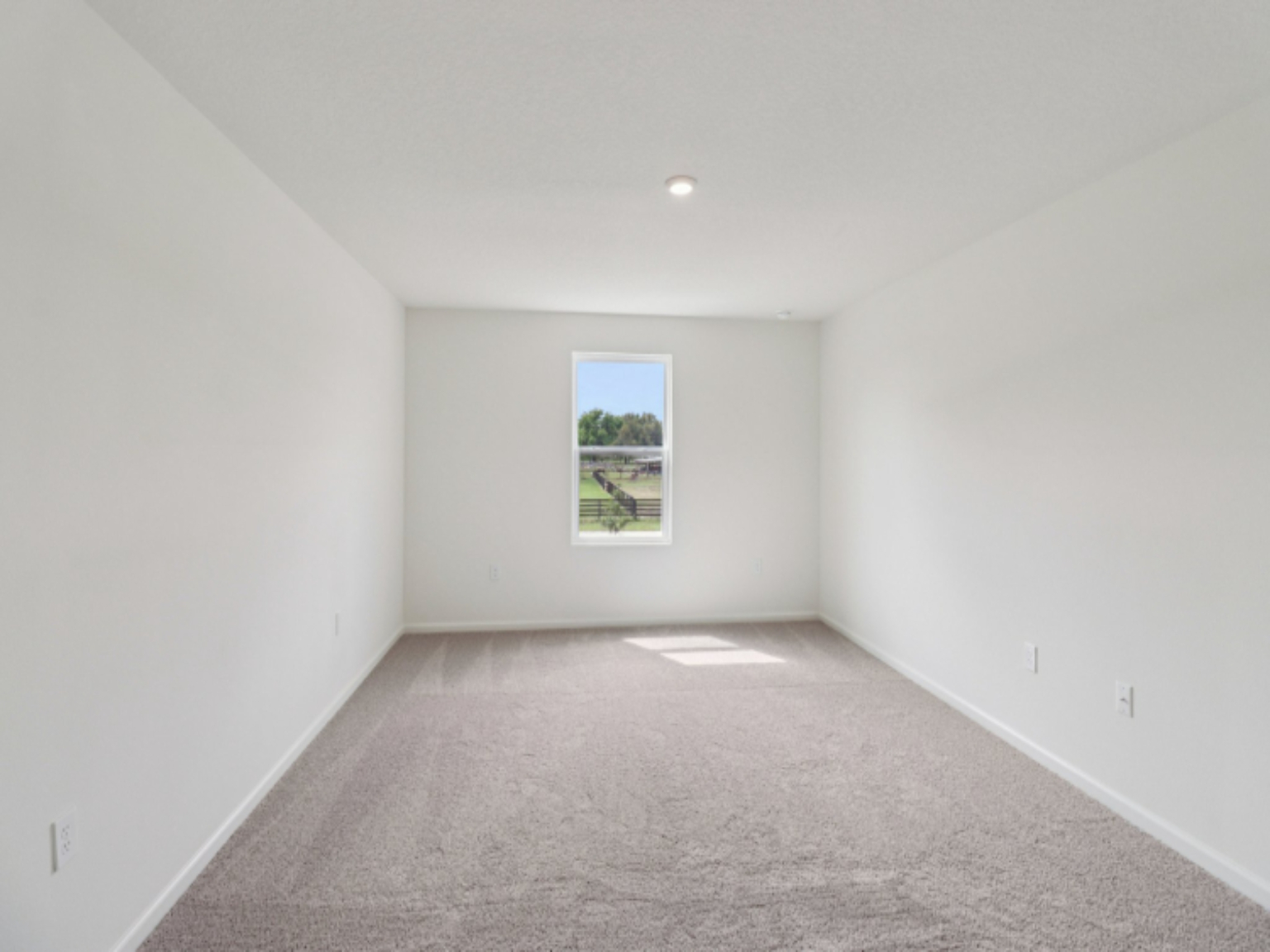 A room with a window and a carpet.