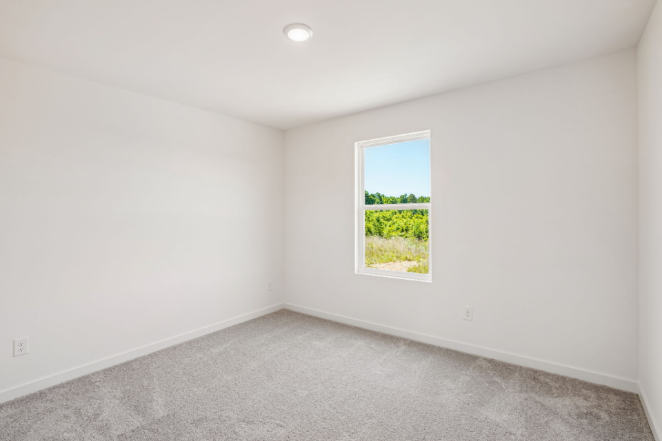 A room with a window and a tree outside.