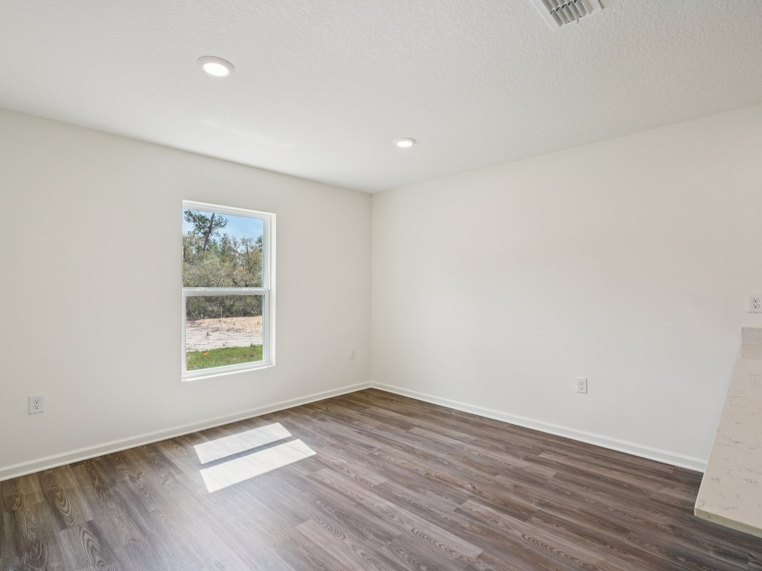 A room with a wood floor and a window.