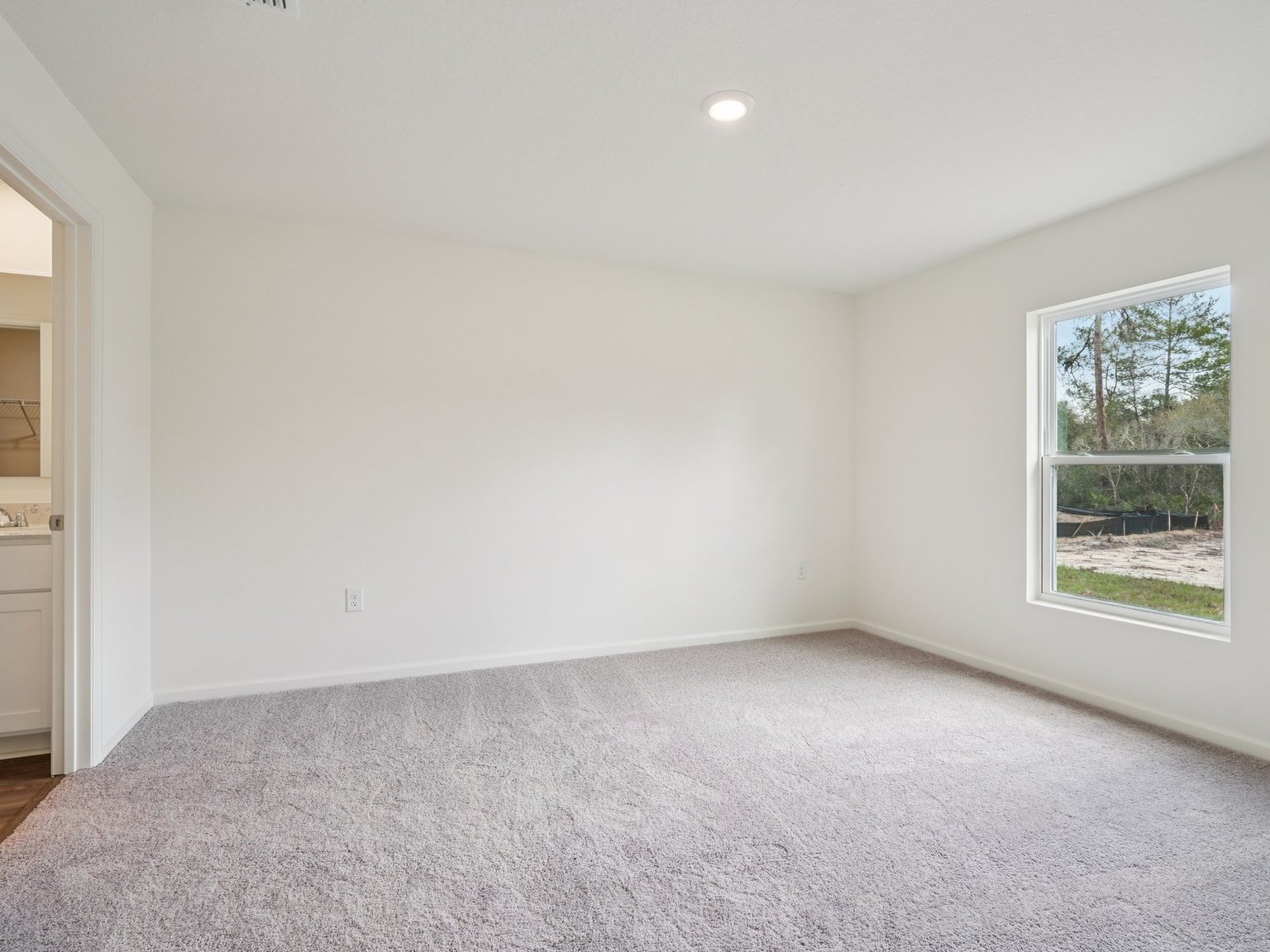 A room with a carpet and a window.