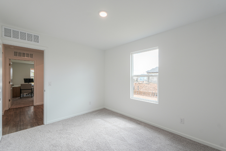 A room with a window and a carpet.