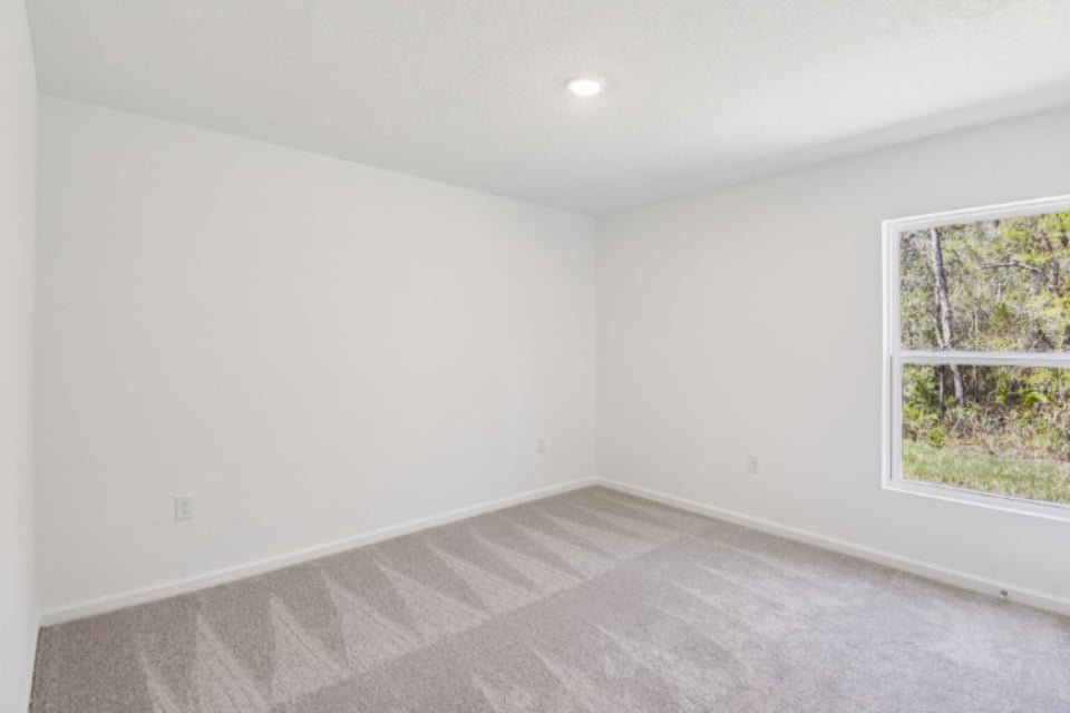 A room with a window and a rug.