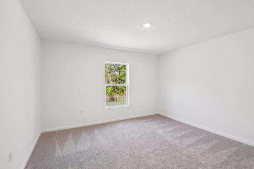 A room with a window and a tree outside.