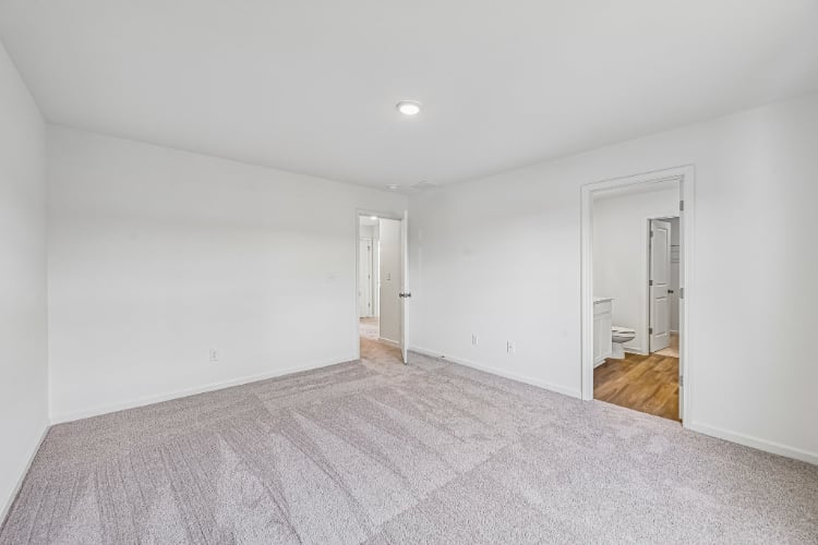 A room with a carpet and a rug.