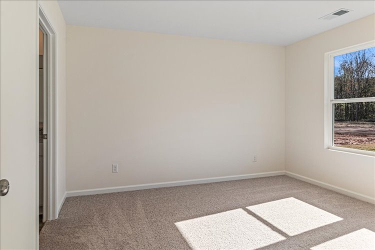 A room with a rug and a window.