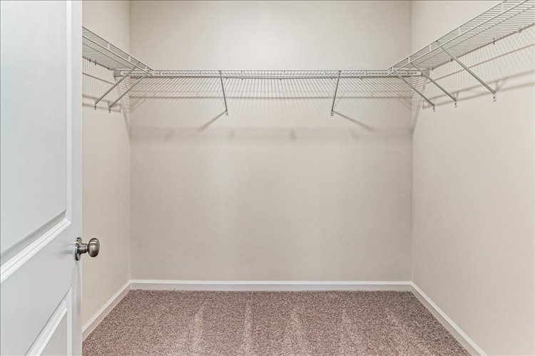 A shower with a metal bar.