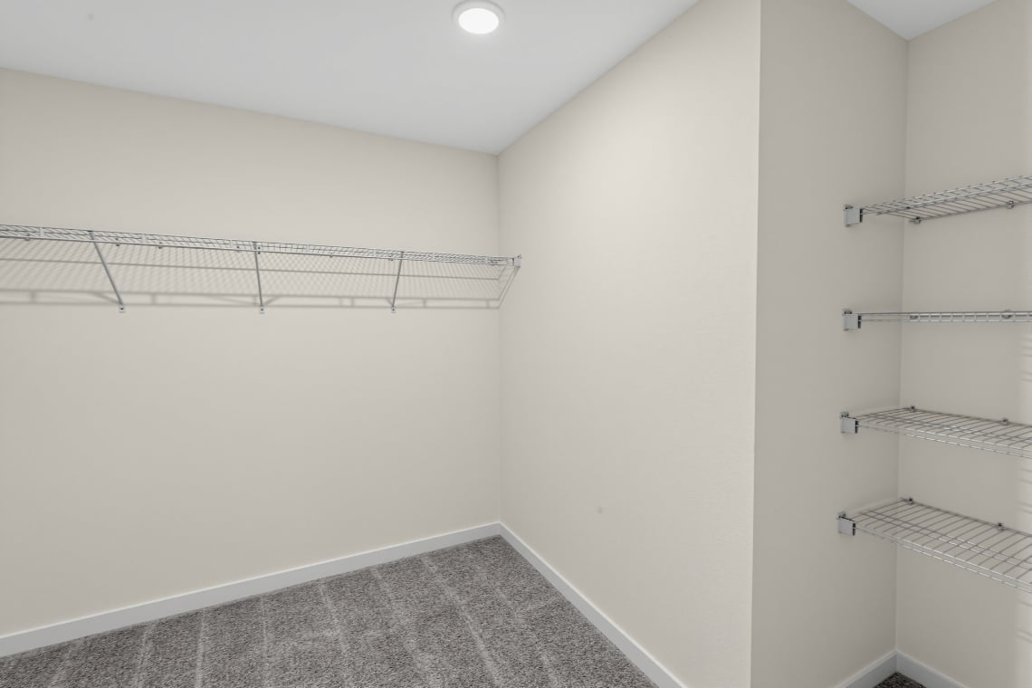 A room with shelves and a rug.