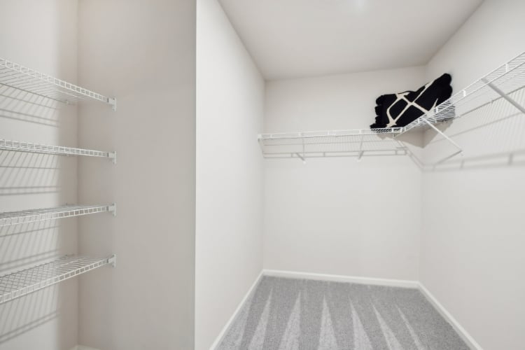 A panda bear on a shelf.