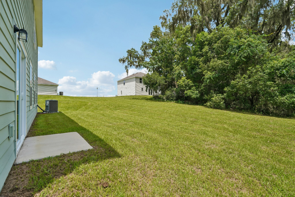 A yard with trees and a house.