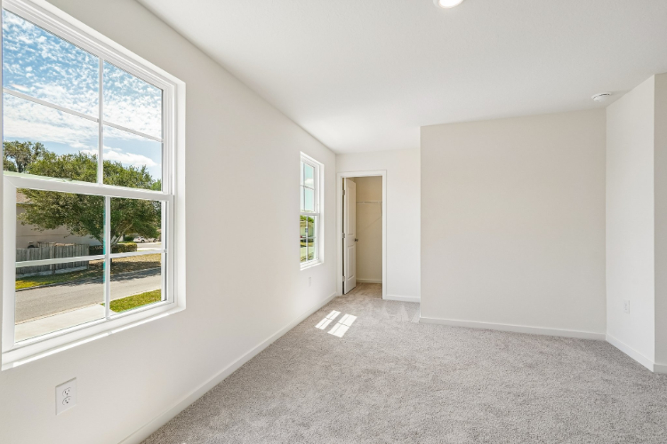 A room with windows and a carpet.