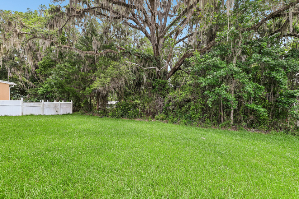 A grassy area with trees in the back.