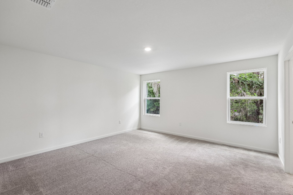 A room with windows and a carpet.