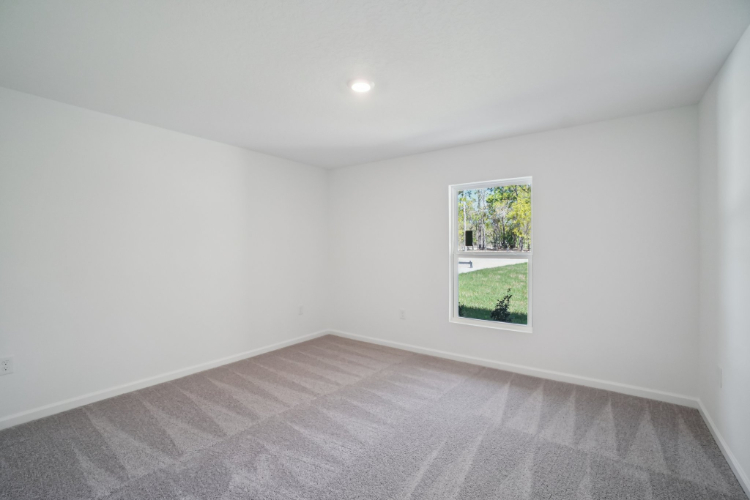 A room with a window and a rug.