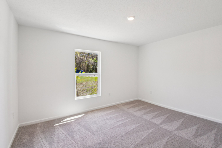 A room with a window and a rug.