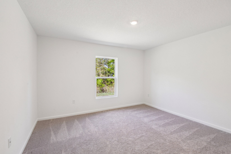 A room with a window and a tree outside.