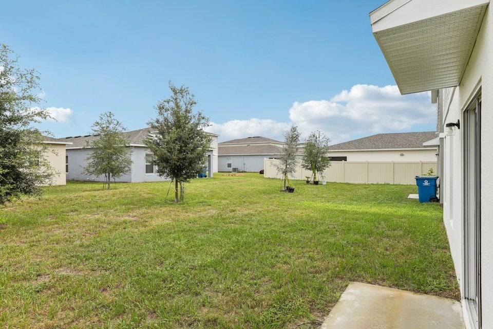 A yard with trees and grass.