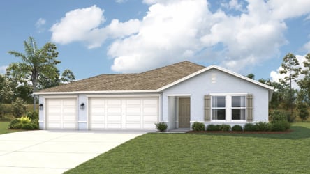 A house with a lawn.