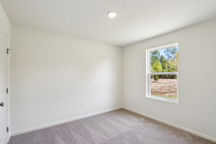 A room with a window and a carpet.