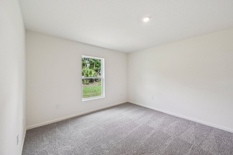 A room with a window and a carpet.