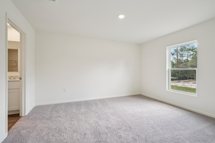 A room with a window and a rug.
