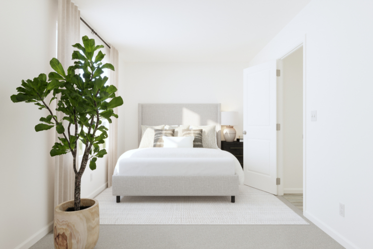 A white room with a bed and a plant.