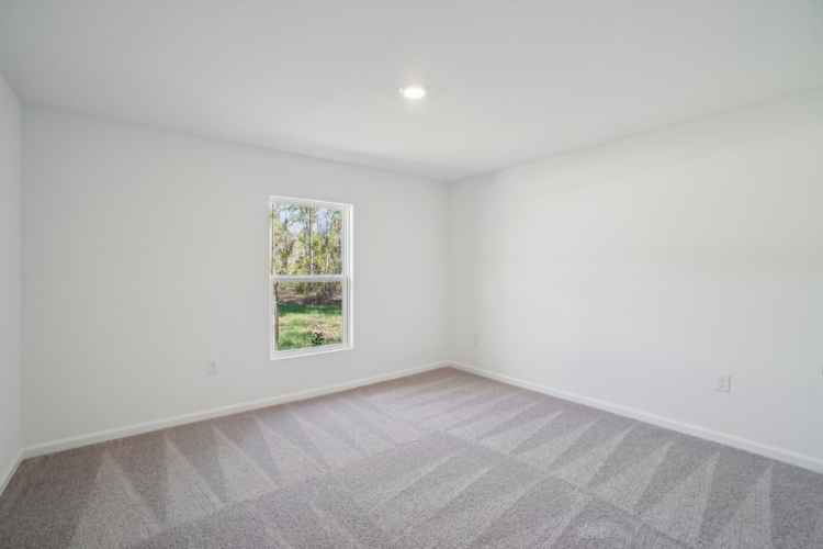 A room with a window and a rug.