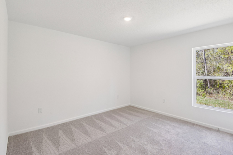 A room with a window and a carpet.