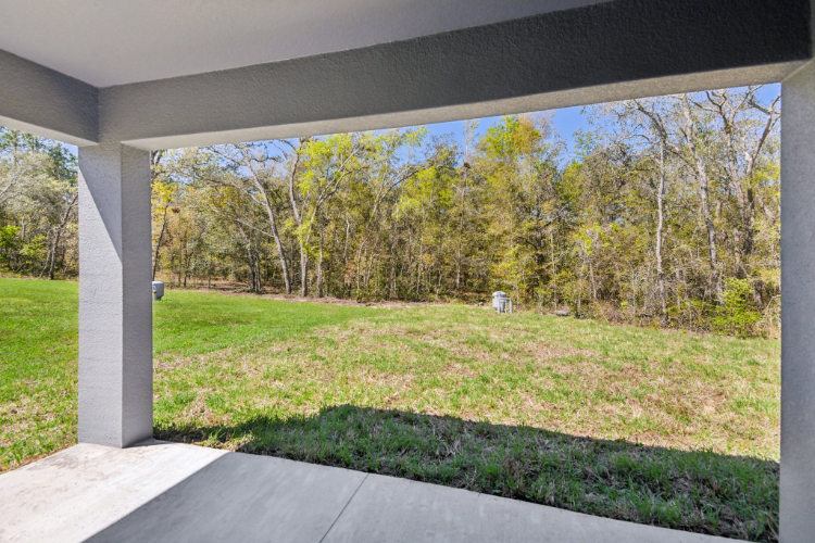 A view of a grass field and trees from a window.
