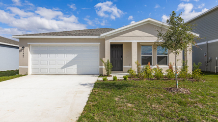 A house with a garage and a tree in the front.