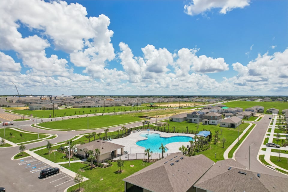Best Recommended Outdoor Plants for Florida Terraces: Ultimate Guide 2 Best Recommended Outdoor Plants for Florida Terraces: Ultimate Guide