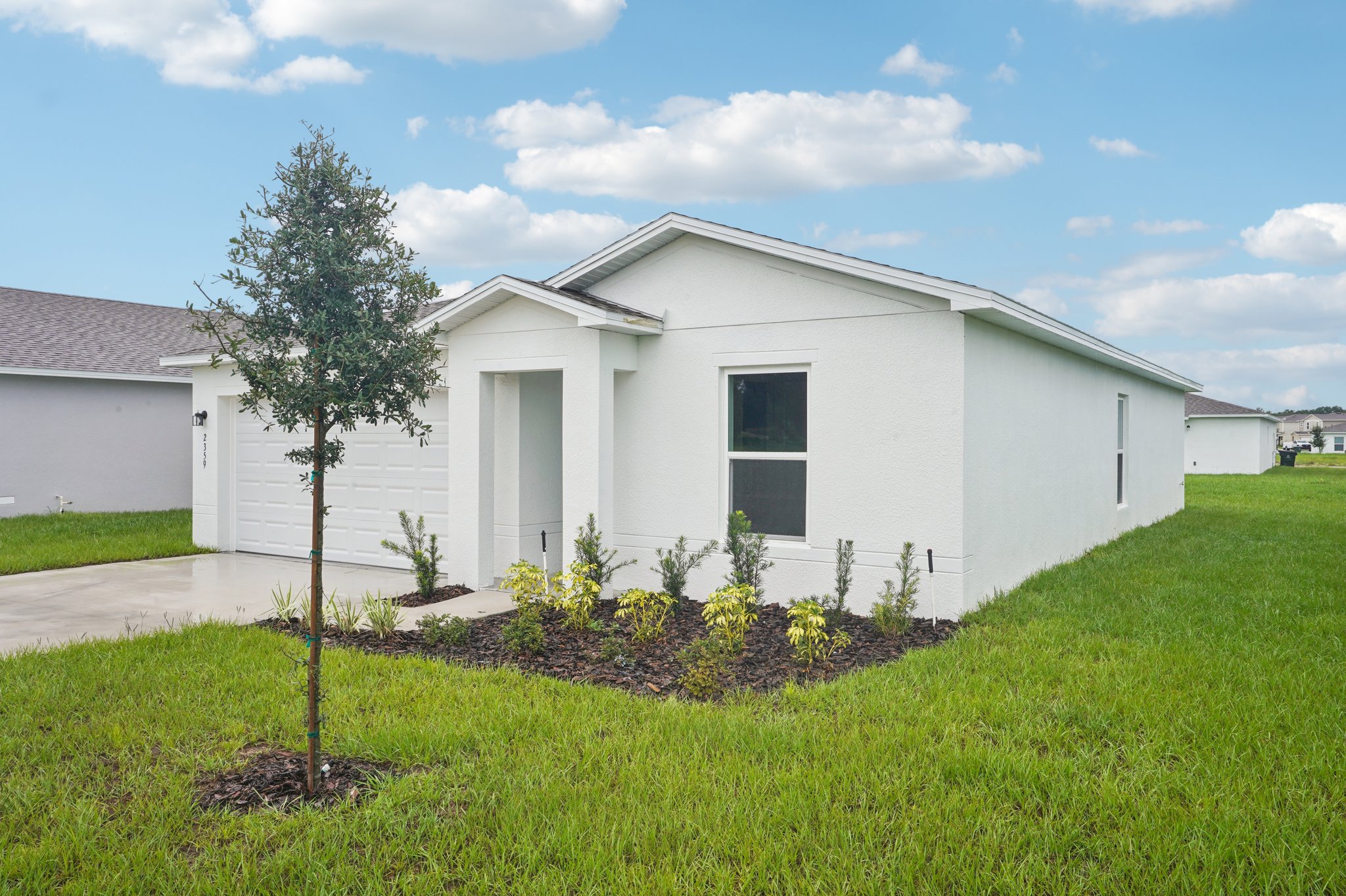 A white house with a tree in the front yard.