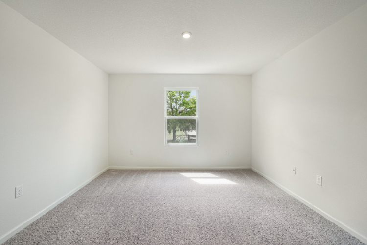 A room with a window and a tree.