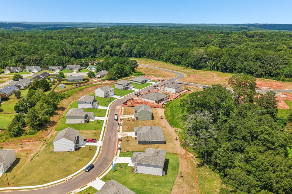 A group of houses surrounded by trees.