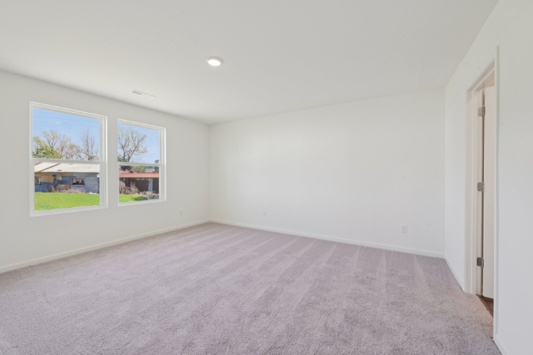 A room with a carpet and windows.