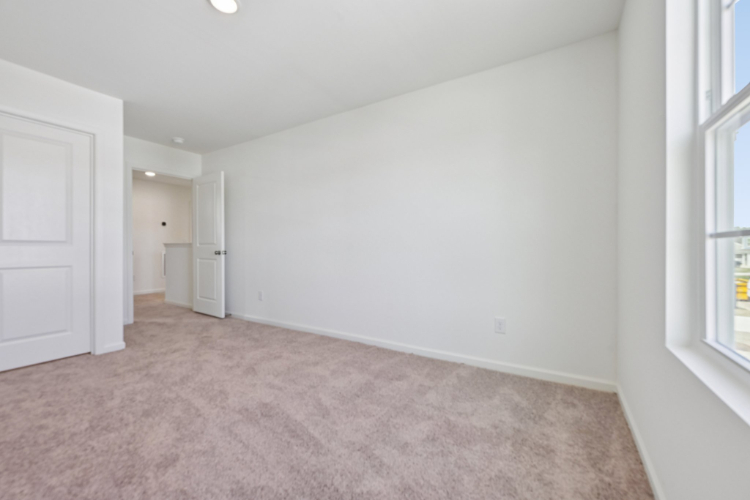 A room with a carpet and a door.