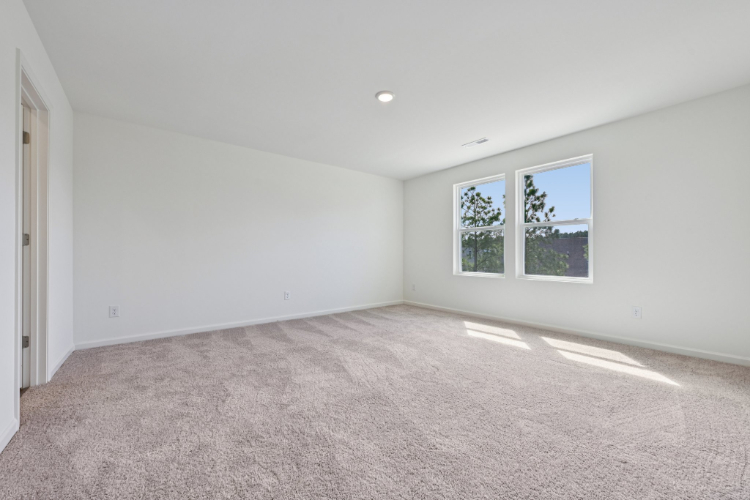 A room with a carpet and windows.