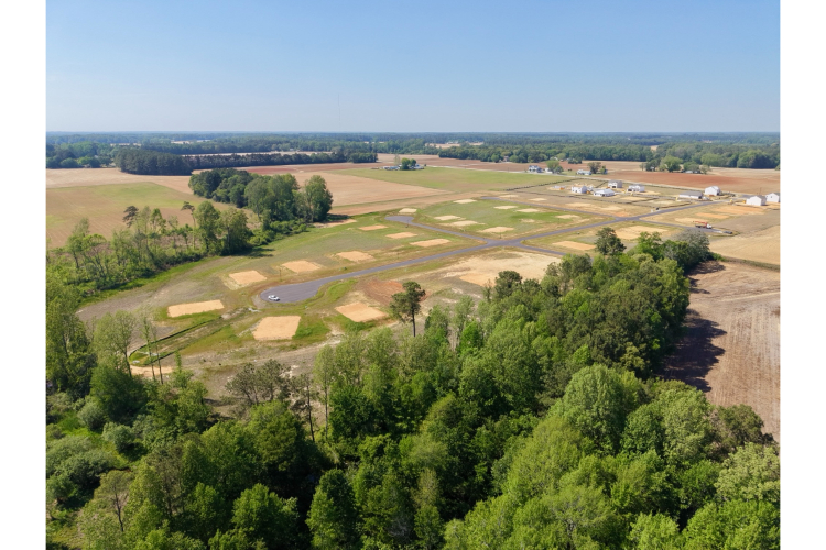 A landscape with trees and fields.