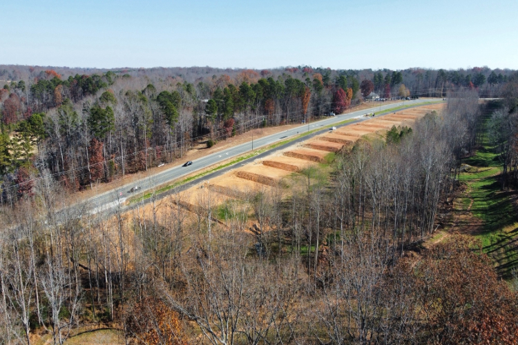 A road with trees on the side.
