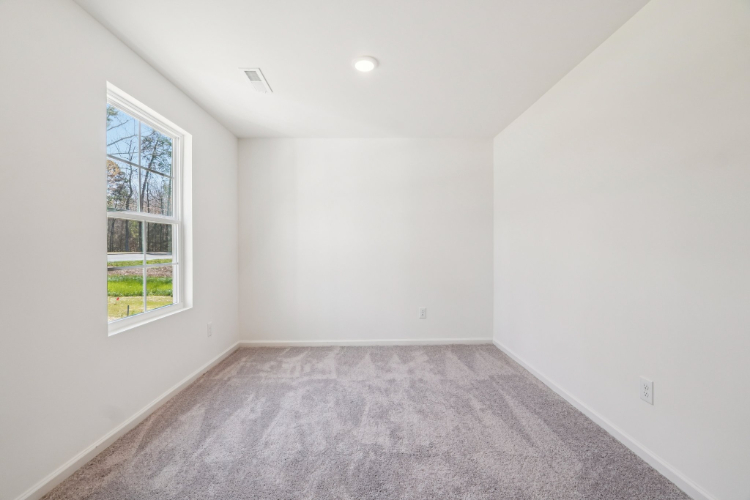 A room with a carpet and windows.