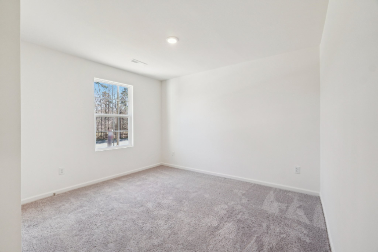 A room with a carpet and a window.