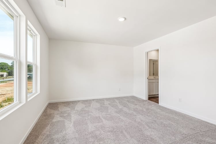 A room with a carpet and windows.