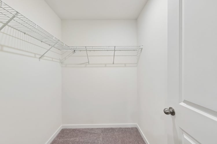 A white room with a carpet.