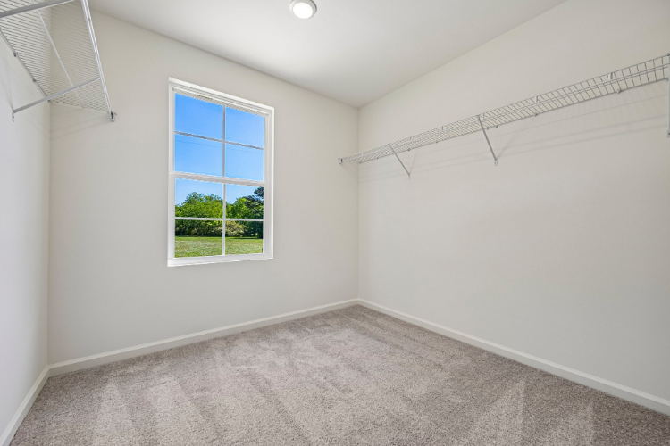 A room with a window and a rug.