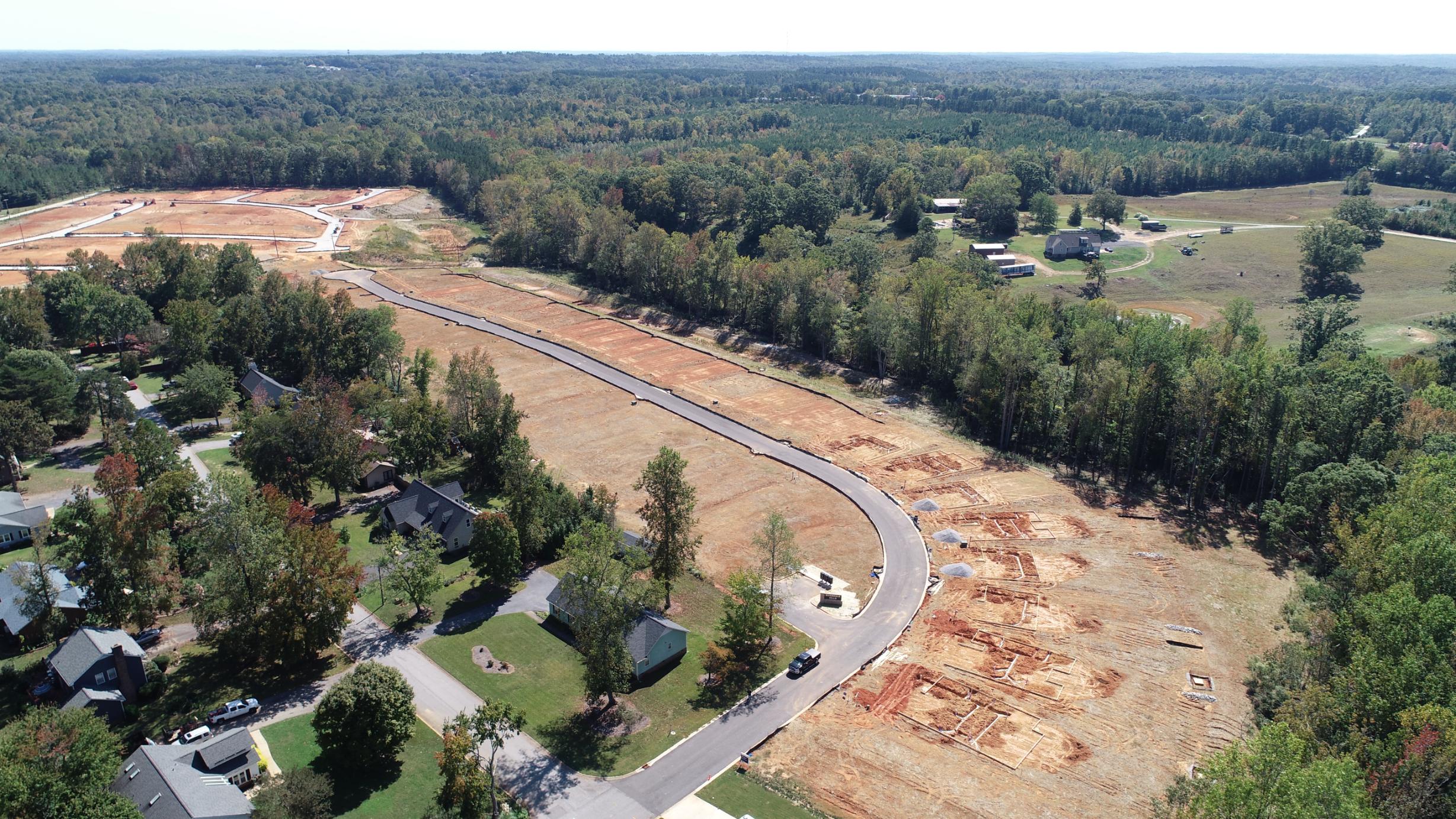 A road with trees and houses.