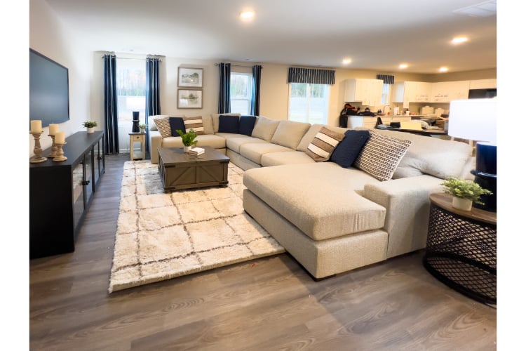 A living room with a large rug.