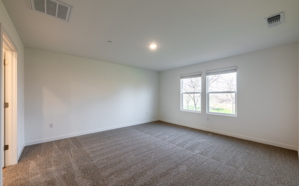 A room with windows and a carpet.